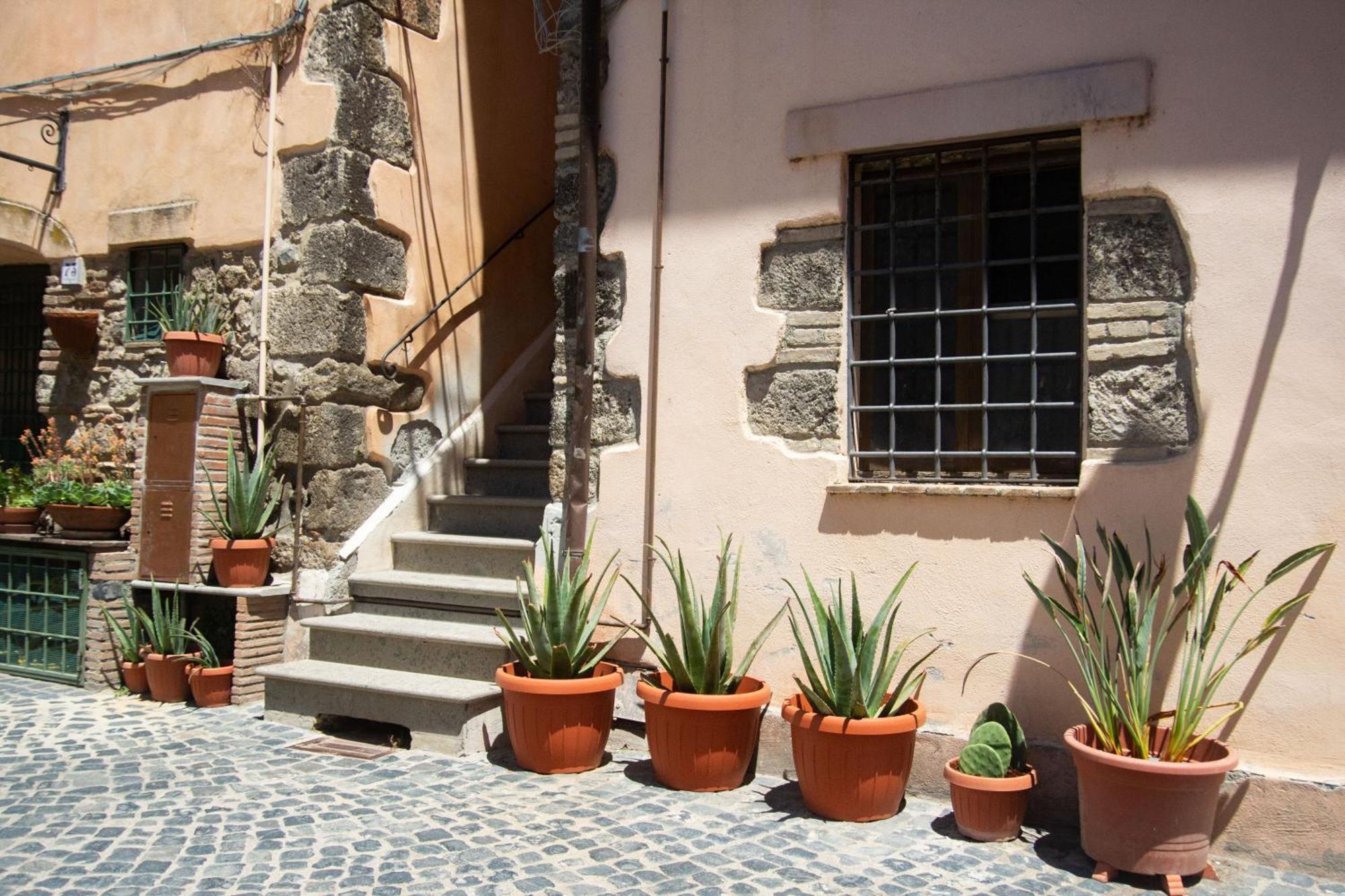 Finestra Sul Borgo Apartman Trevignano Romano Kültér fotó